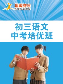 初三語文拓展班(同步+提高)