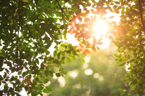 再也不怕寫作沒素材了 小學作文好詞好句整理之午后描寫