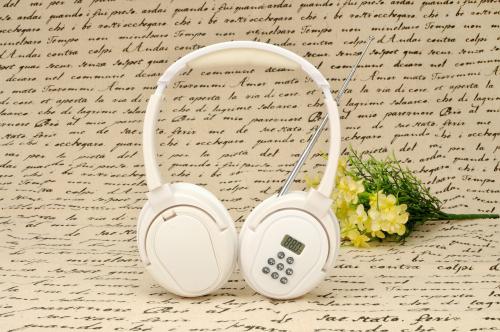 同音不同意 全弄懂英語(yǔ)聽(tīng)力考再也不怕了