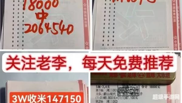 大赢家比分