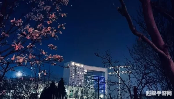 那些孤独的人啊夜晚是否还回家