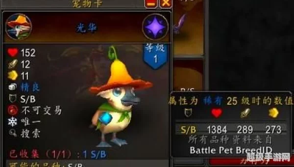 魔兽世界宠物升级攻略