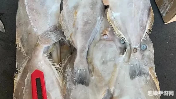 剥皮300