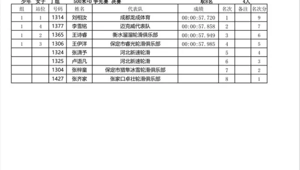 中国极速轮滑网