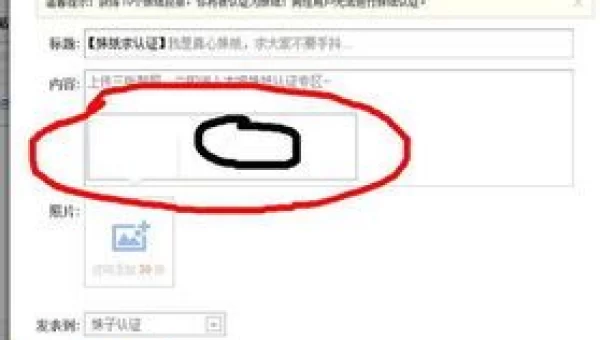 妹子认证